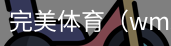 完美体育，WMsports，完美体育官方，完美体育平台，完美体育下载